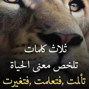 Meet your Posher, Asmaa